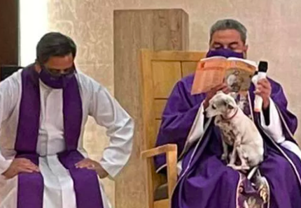Il sacerdote celebra la messa con il cane sulle ginocchia